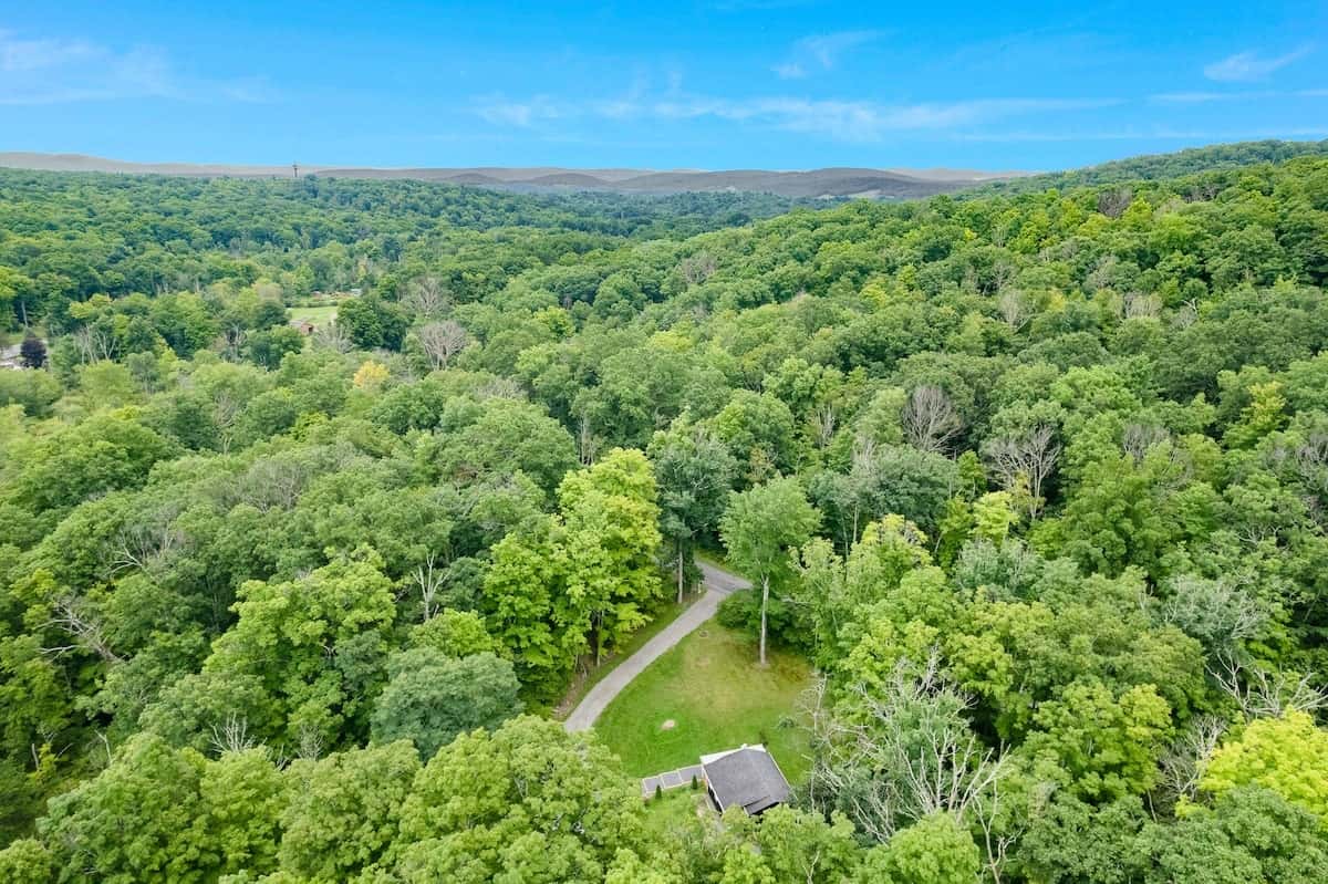 The property from above: the cabin's clearing in unbroken forest, with the Columbia County hills on the horizon