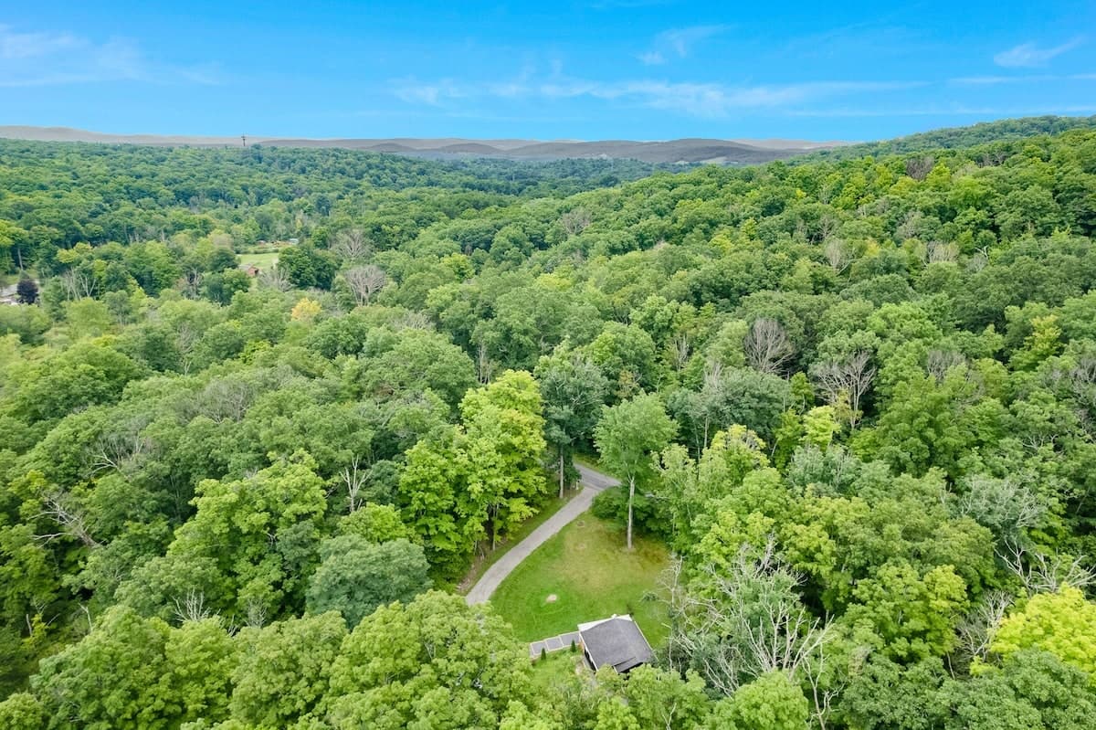 The property from above: the cabin's clearing in unbroken forest, with the Columbia County hills on the horizon